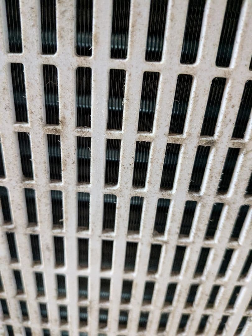 SHARP 除湿機 CV-L180-W （2020年製）