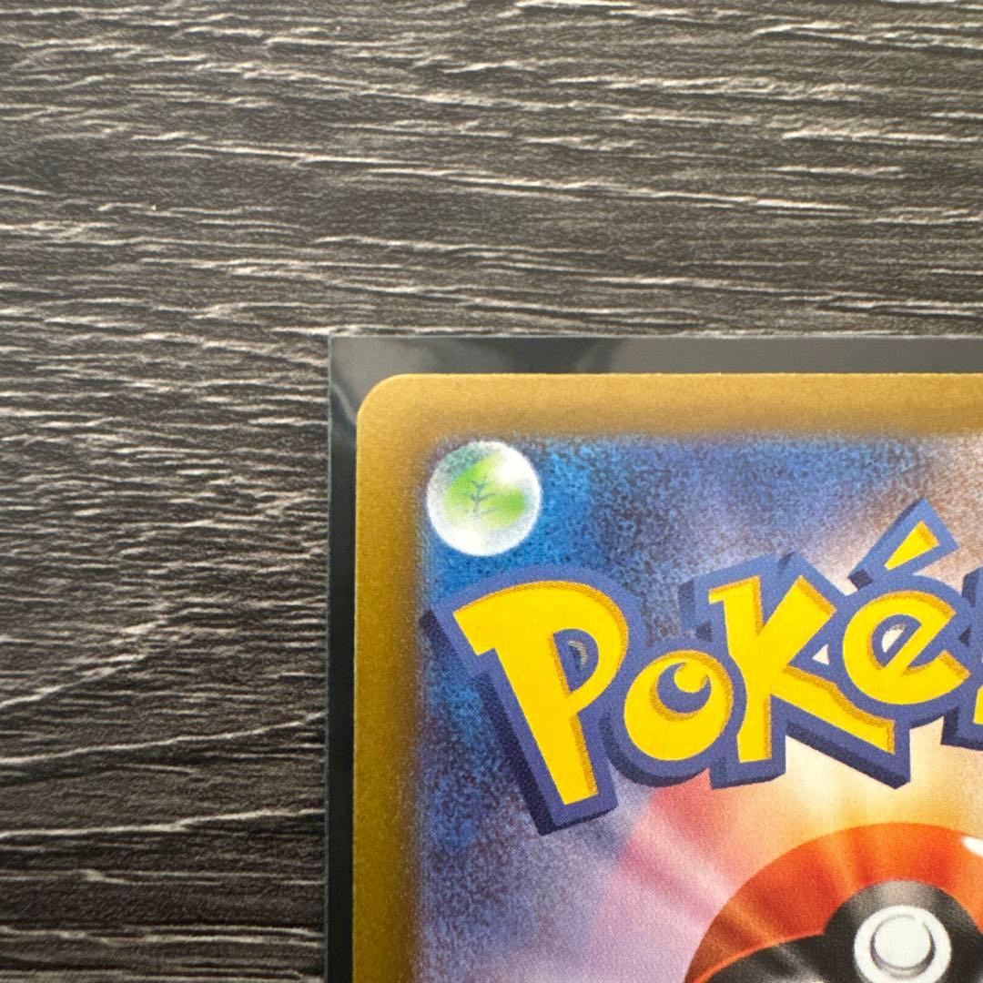 ＊早い者勝ち　リーリエの決心　SAR