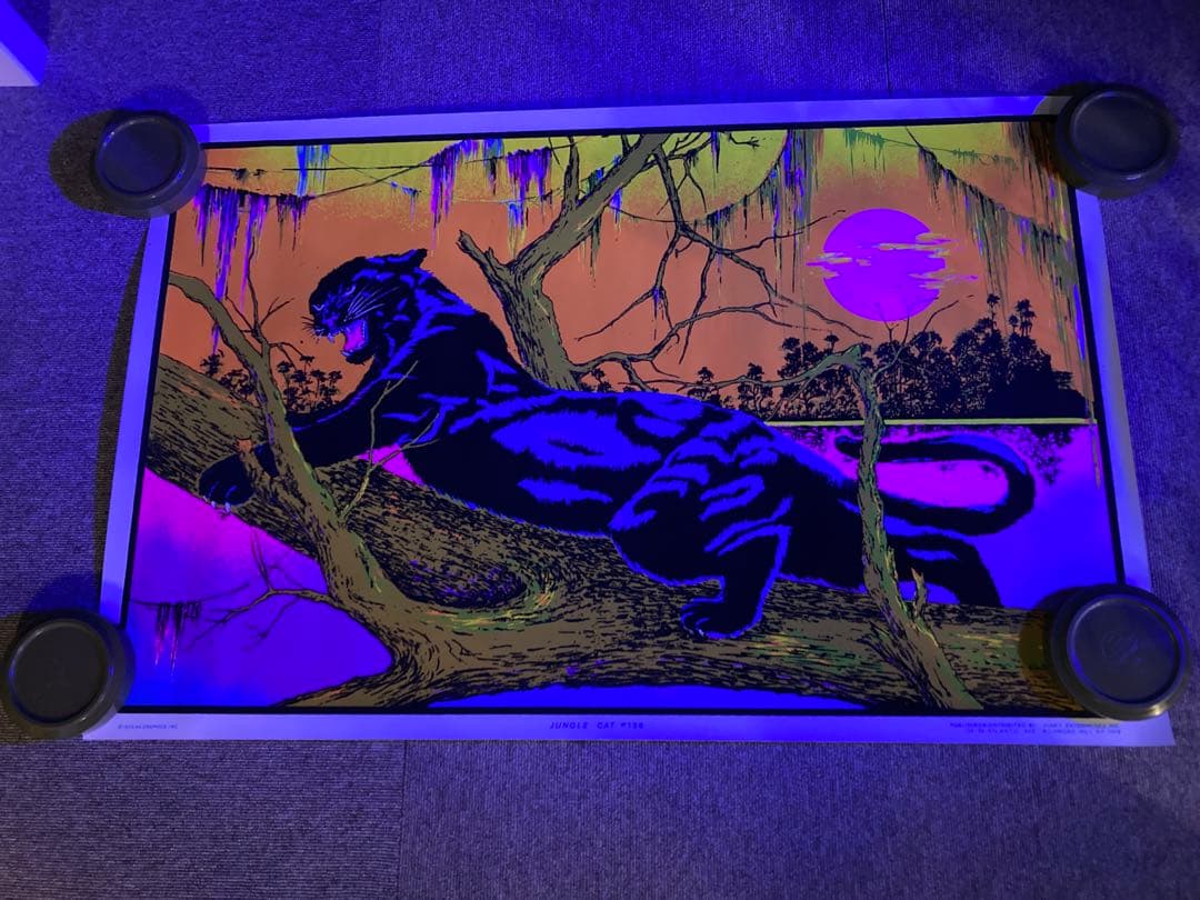 70'sヴィンテージ ブラックライトポスター JUNGLE CAT #136
