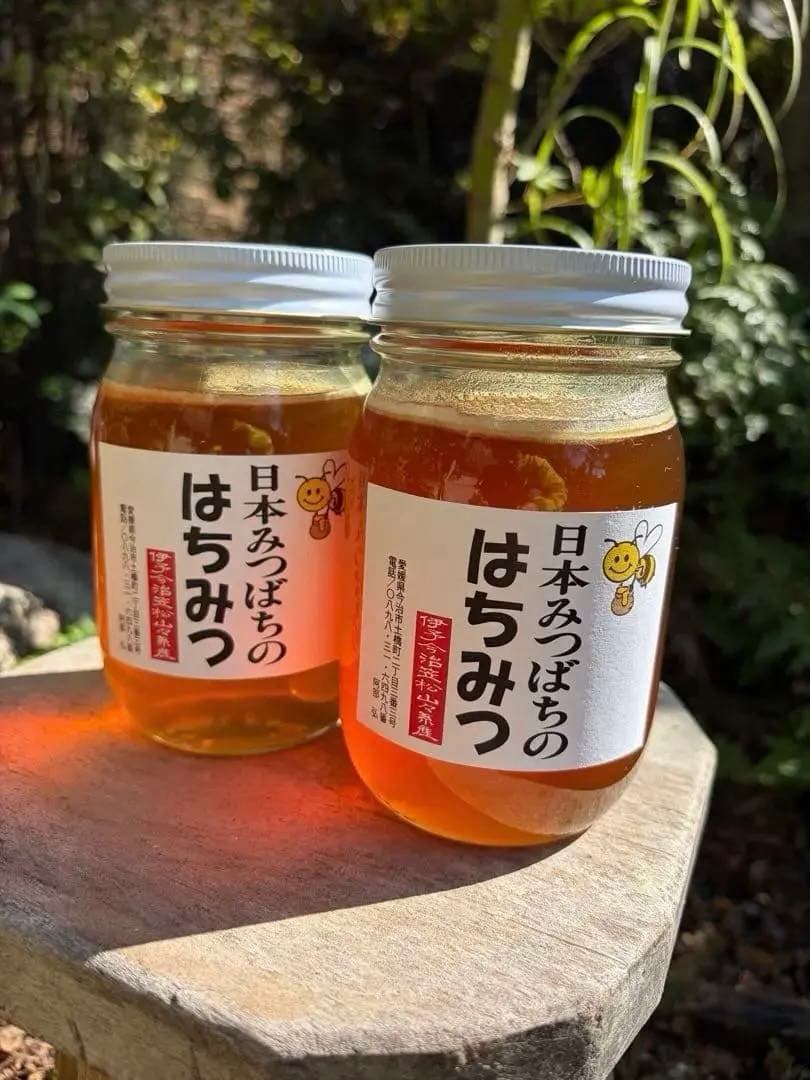 はちみつ　日本蜜蜂のハチミツ　奥山の奥の蜂蜜　国産蜂蜜愛媛産　２種