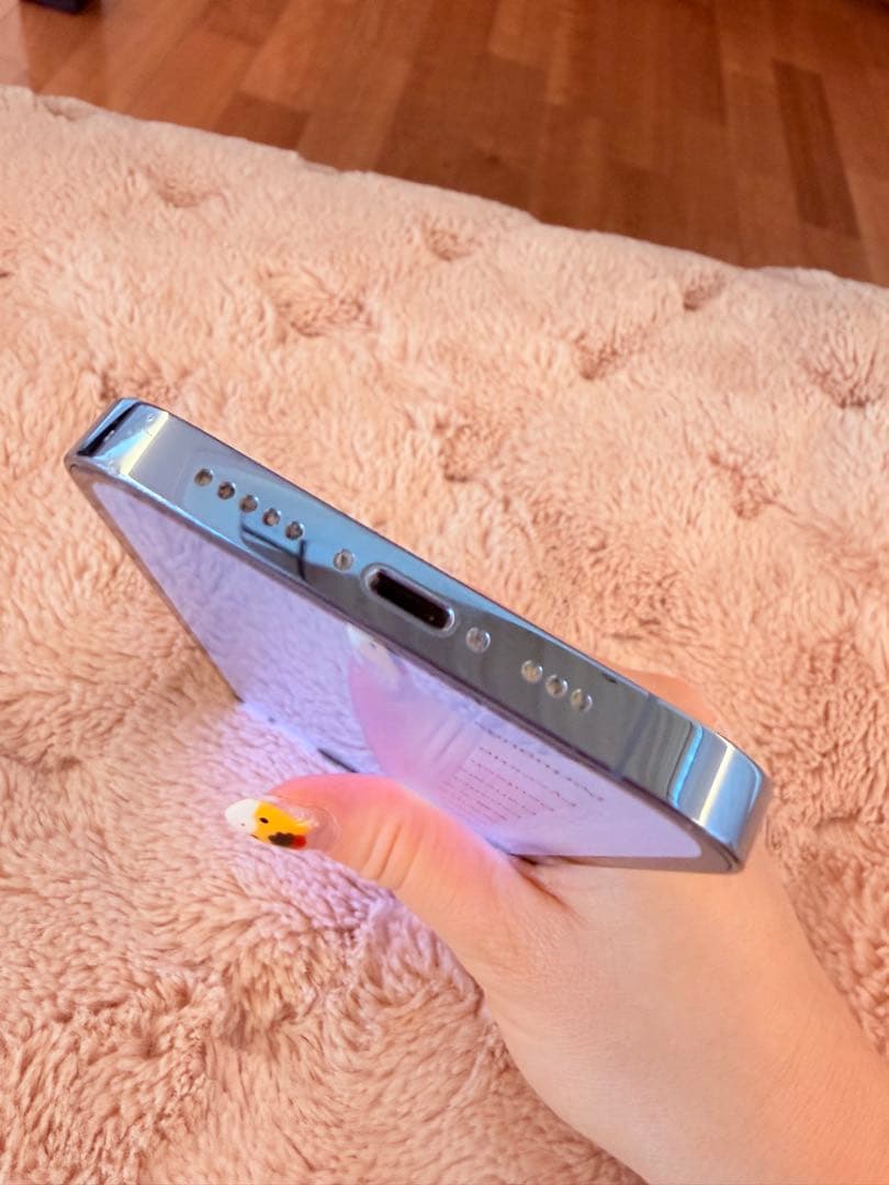 Apple iPhone 13 Pro シルバー 本体　512GB