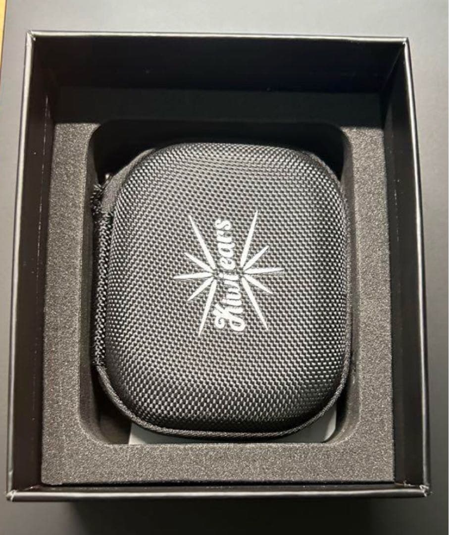 イヤホン kiwi ears quintet