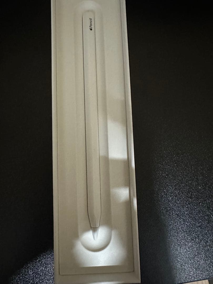 iPad Pro 第4世代スペースグレー + Apple Pencil