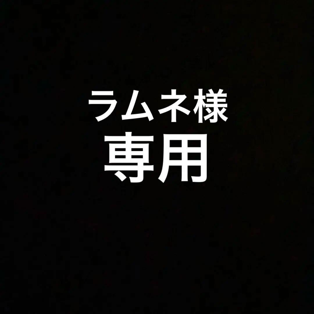 リースボルシャックデッキ　ボルシャックデッキ　ドラゴンデッキ　デュエマ　デッキ②