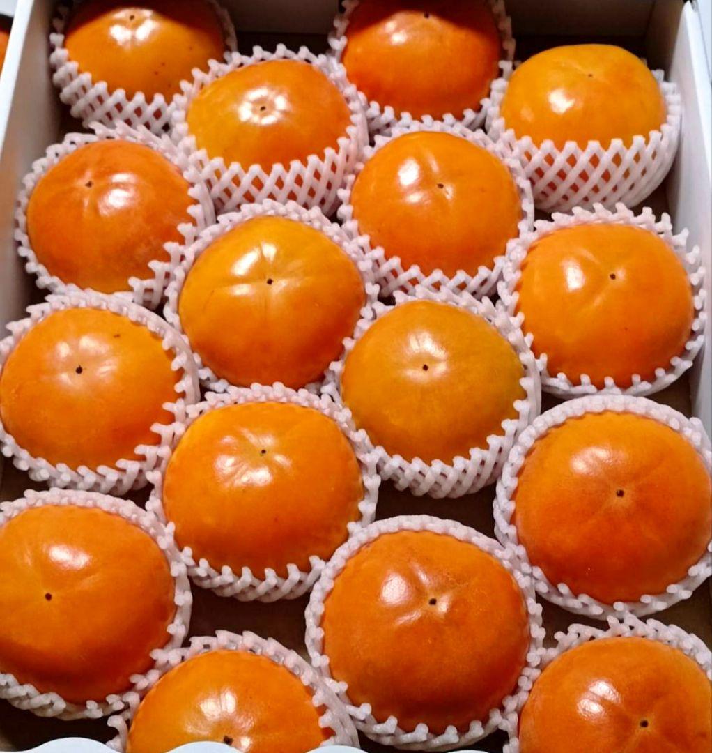 【贈答用・高級甘柿・大玉】福岡県産ブランド 富有柿 4.3kg×2箱