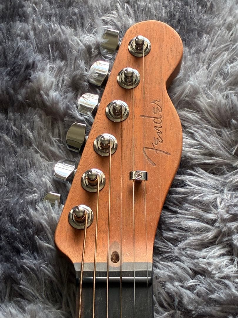 ギター Fender USA Acoustasonic Pink Paisley