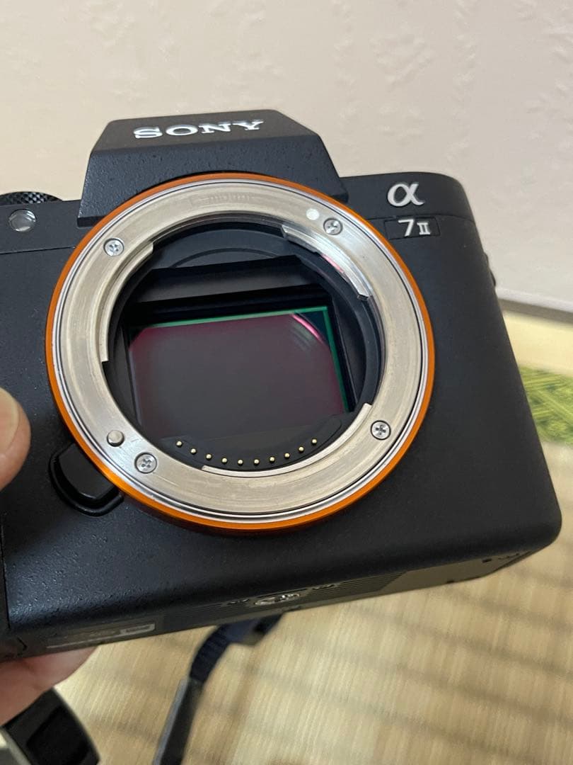 てりえ SONY α7 II ボディILCE-7M2 +バッテリー4個