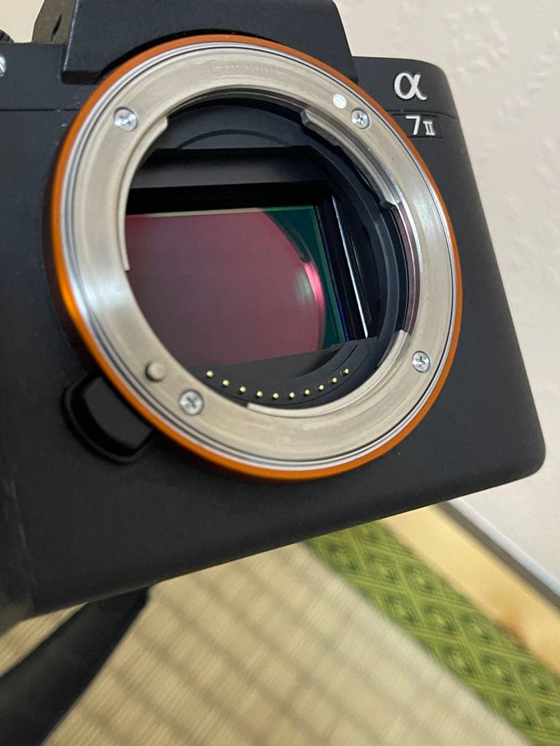 てりえ SONY α7 II ボディILCE-7M2 +バッテリー4個