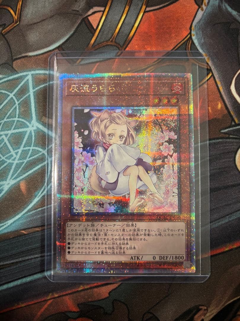 灰流うらら　25th クオシク