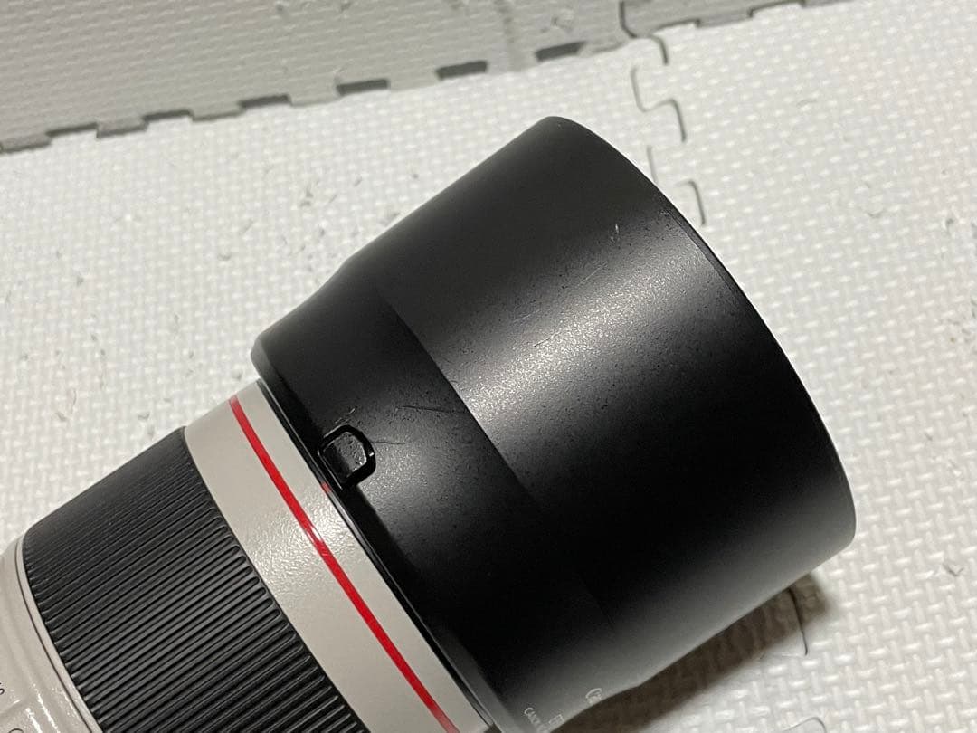 Canon 望遠レンズ EF70-200mm F4L IS Ⅱ USM