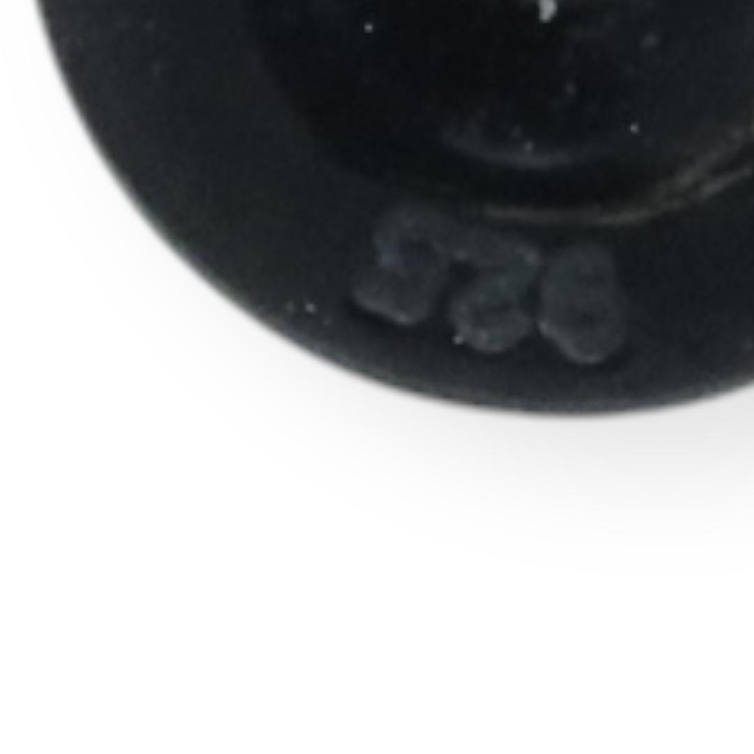 CAREERING PLACEBO ピアス 301 BK YO474