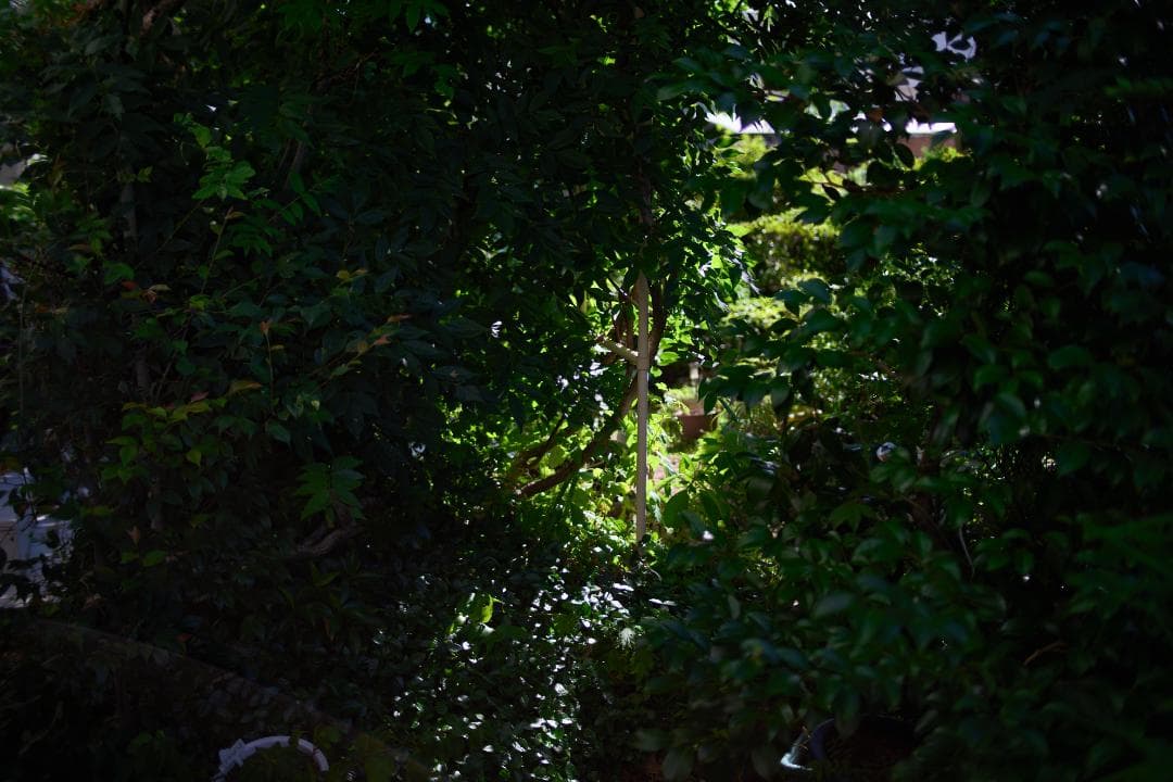 フィルムカメラ Canon New FD 35mm f2