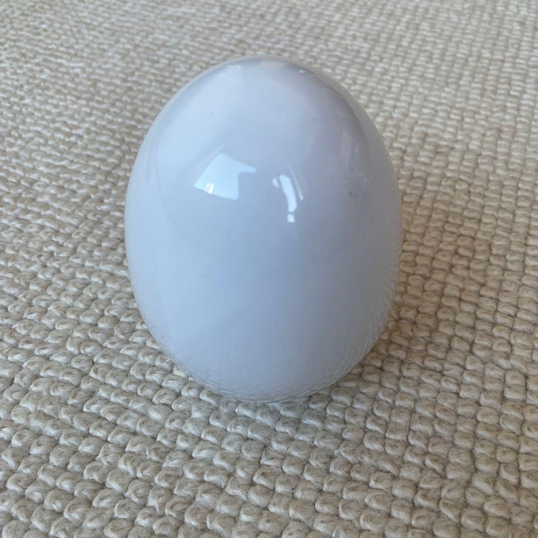 チャイナロマン ラドン発生器 ホルミシス効果