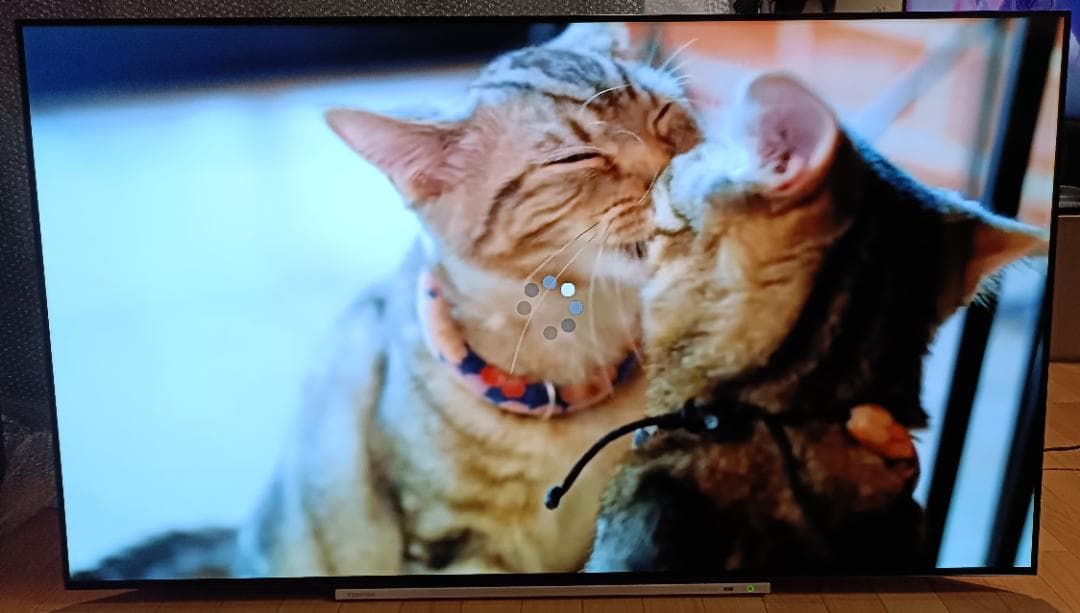 値下げ‼️19年製東芝REGZA 55V型55X920 4K有機EL