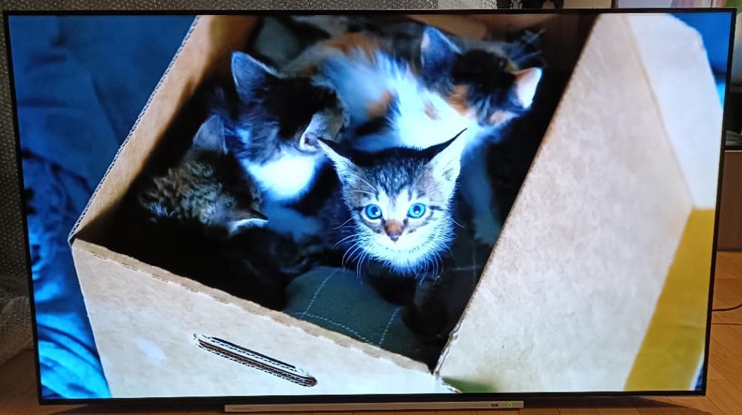 値下げ‼️19年製東芝REGZA 55V型55X920 4K有機EL