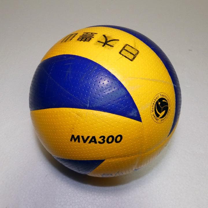 バレーボールのボールなどいろいろ