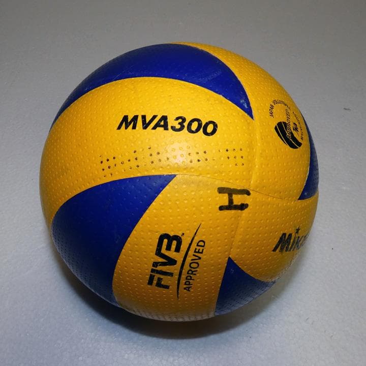 バレーボールのボールなどいろいろ