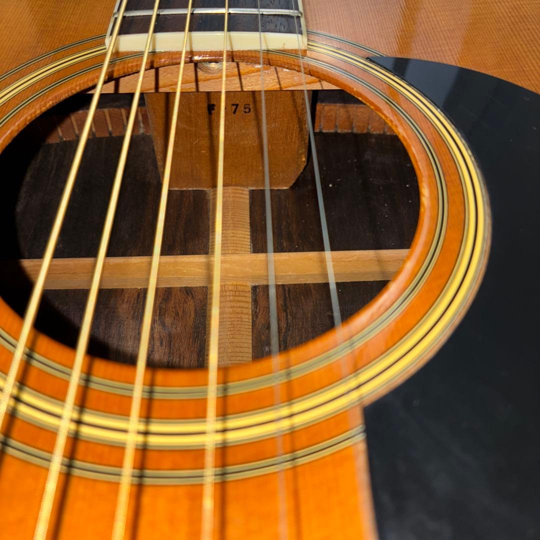 激レア！Morris(モーリス）F-75 ドレッドノートタイプ　弦高調整済みです