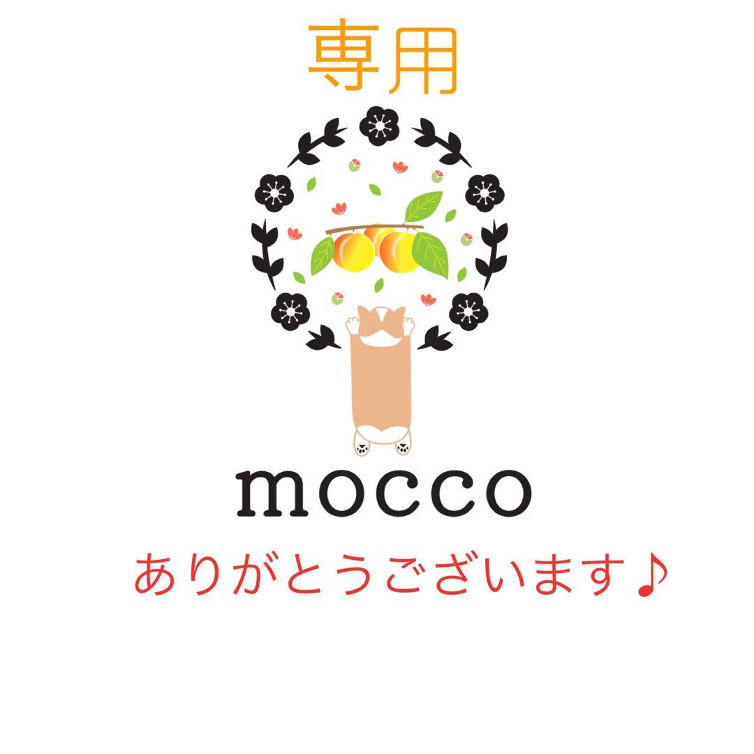 《２袋》りんご酢使用　甘酸っぱい　干し梅500g 種無し