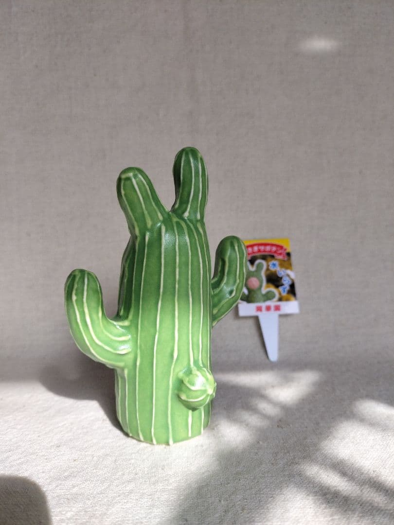 シ*イ様 未使用☆岡モータース　うさぎサボテン