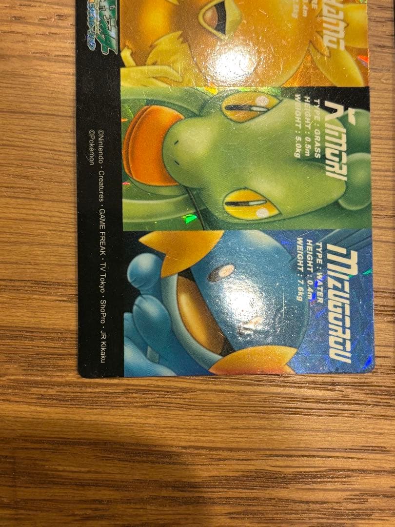 ポケモンずかんカード アドバンスジェネレーション キモリ&アチャモ&ミズゴロウ