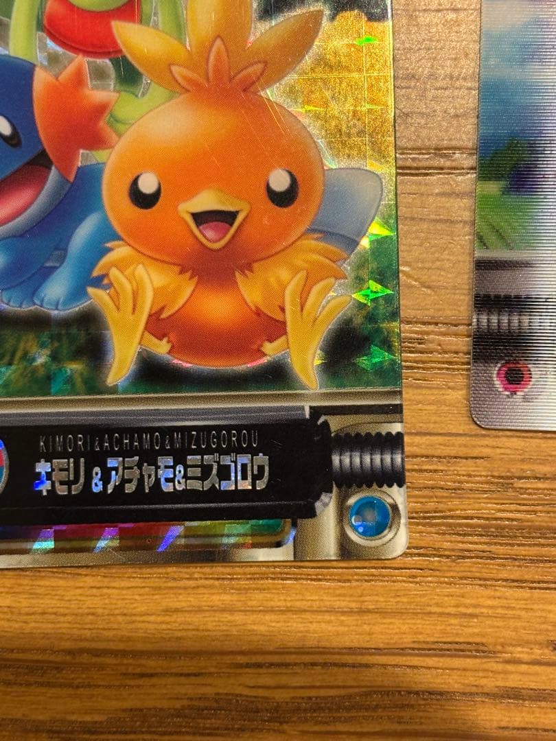 ポケモンずかんカード アドバンスジェネレーション キモリ&アチャモ&ミズゴロウ