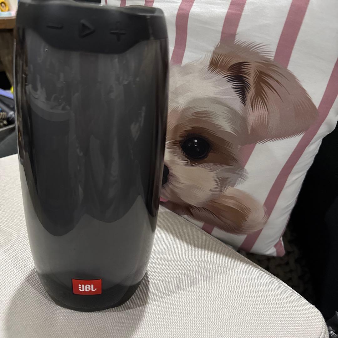 Nguyen Van Vuong ☺︎JBL PULSE 4