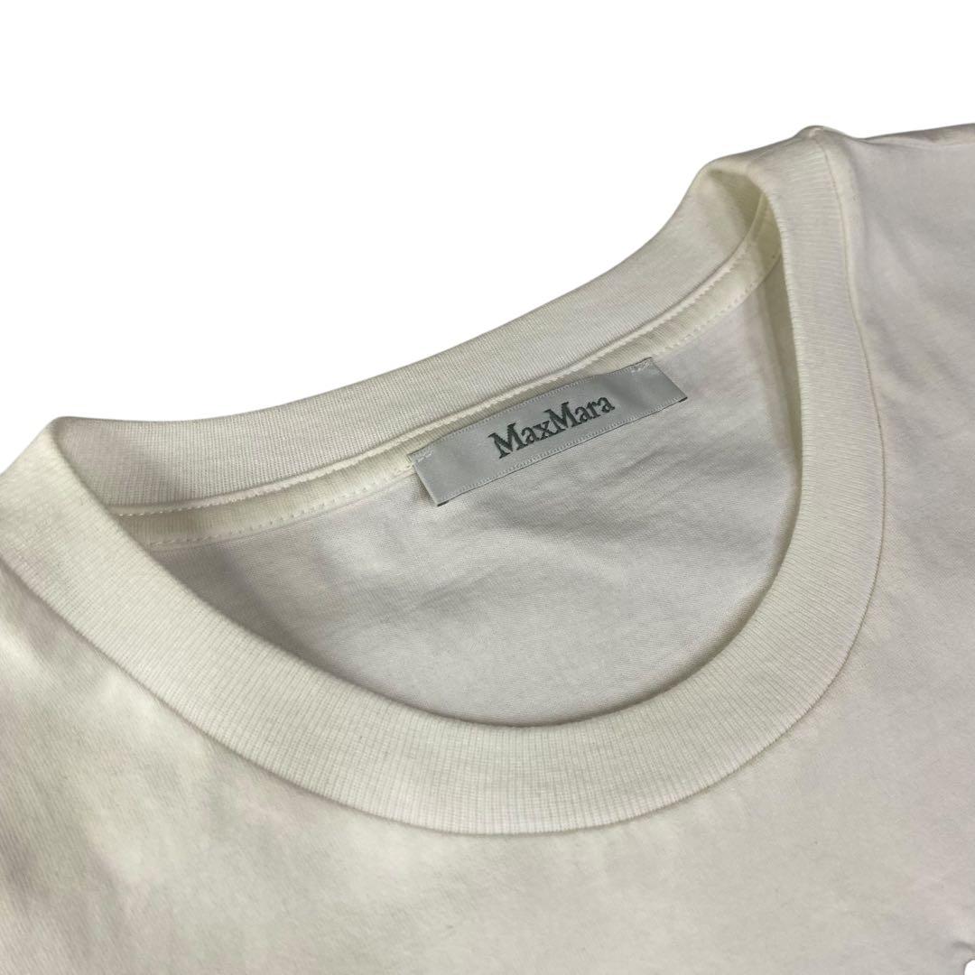 MAX MARAマックスマーラ犬 半袖 Tシャツ XS