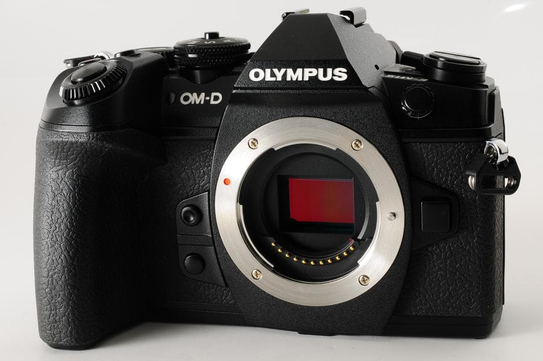 【美品】オリンパスOLYMPUS OM-D E-M1 Mark II ボディ 黒