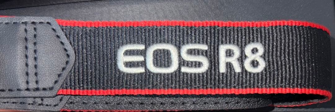 キヤノン Canon EOS R8 ミラーレス一眼カメラ　美品