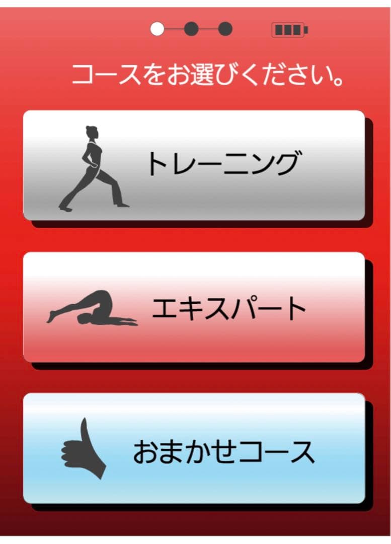 スタイリフト EMS 全身 パッドタイプ シェイプアップ マッサージ