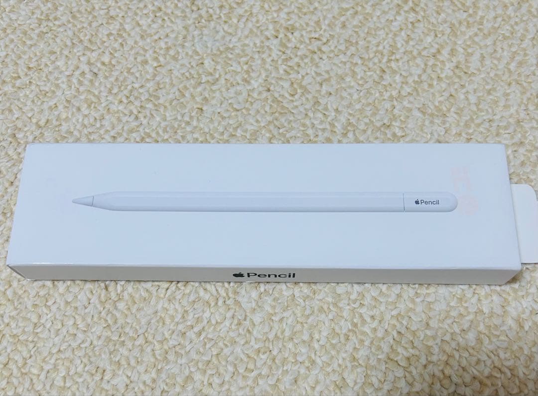 iPadアクセサリー Apple Pencil(USB-C)