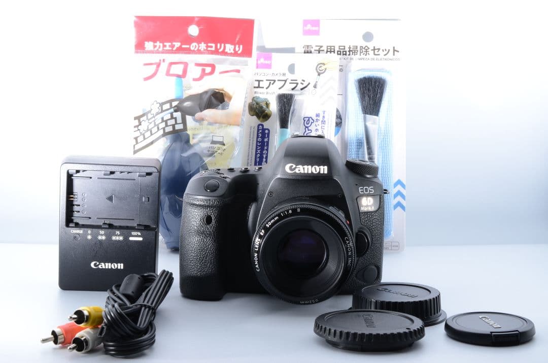 【美品】キヤノン Canon EOS 6D Mark II レンズセット