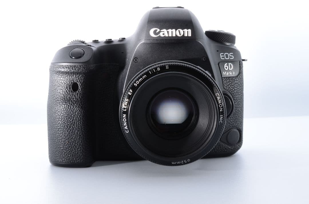 【美品】キヤノン Canon EOS 6D Mark II レンズセット