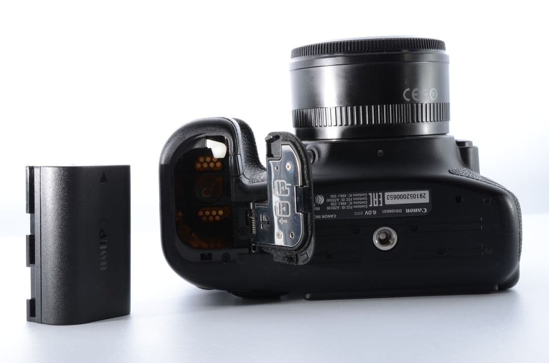 【美品】キヤノン Canon EOS 6D Mark II レンズセット