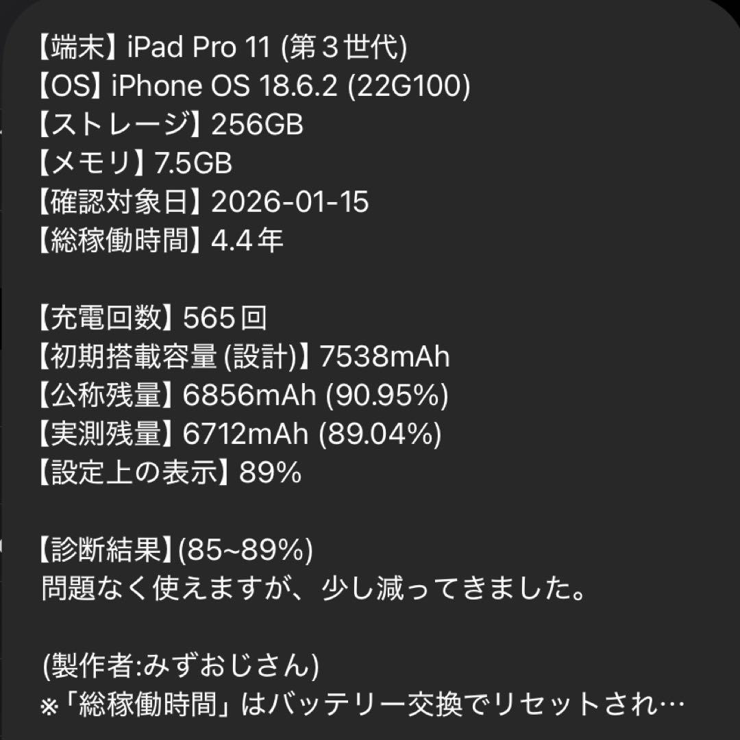 iPad本体 iPad Pro 11 M1 256GB cellular