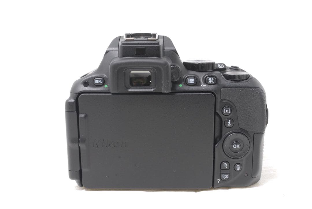 新品級 ショット数266回✨Nikon D5500 ダブルズーム 超望遠レンズ付