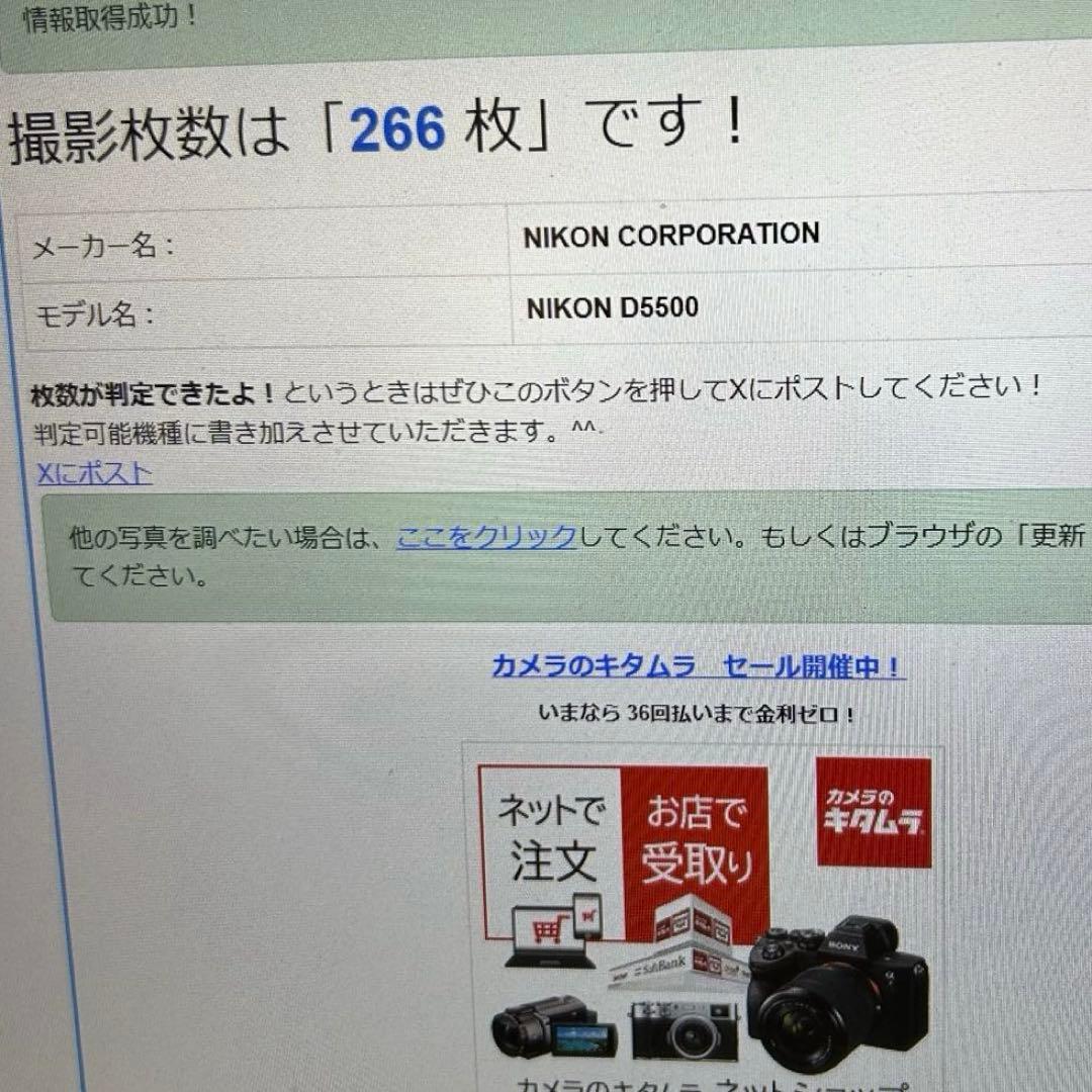 新品級 ショット数266回✨Nikon D5500 ダブルズーム 超望遠レンズ付