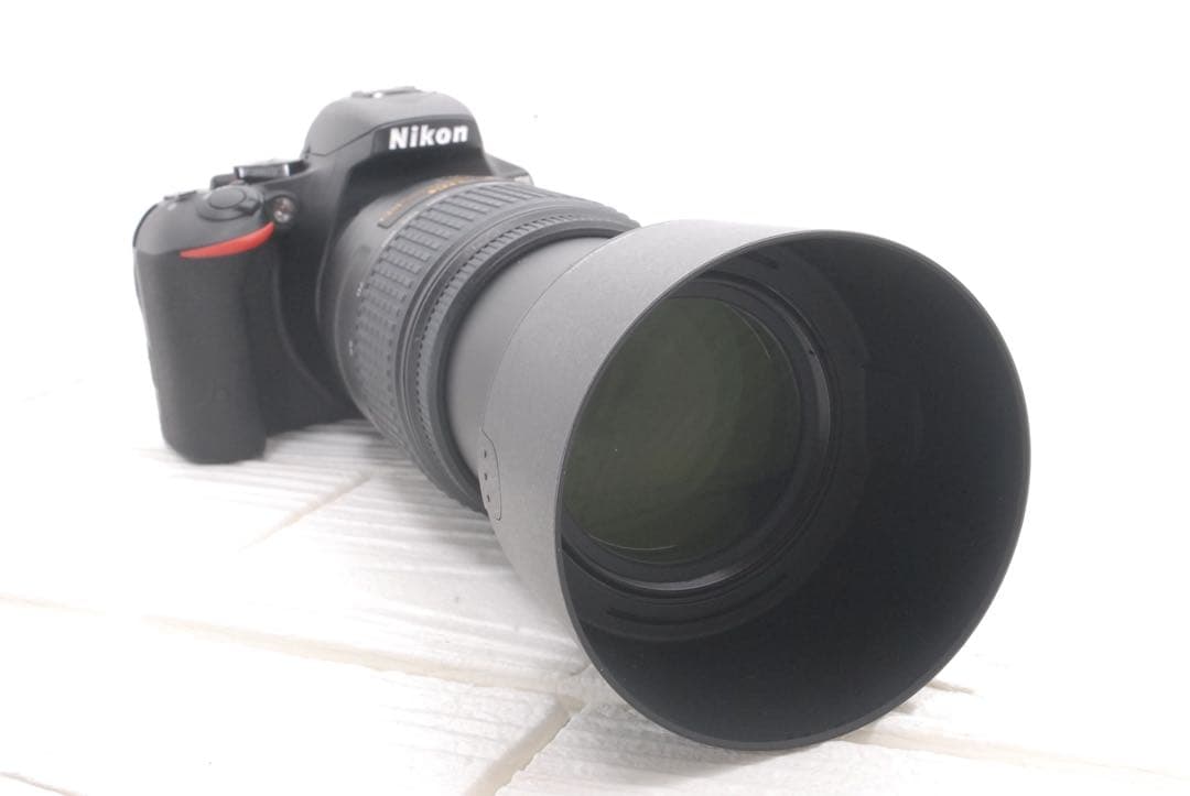 新品級 ショット数266回✨Nikon D5500 ダブルズーム 超望遠レンズ付