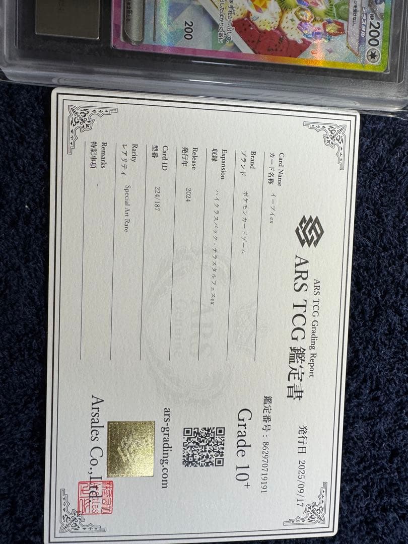 イーブイex SAR SV8a テラスタルフェスex ARS10+