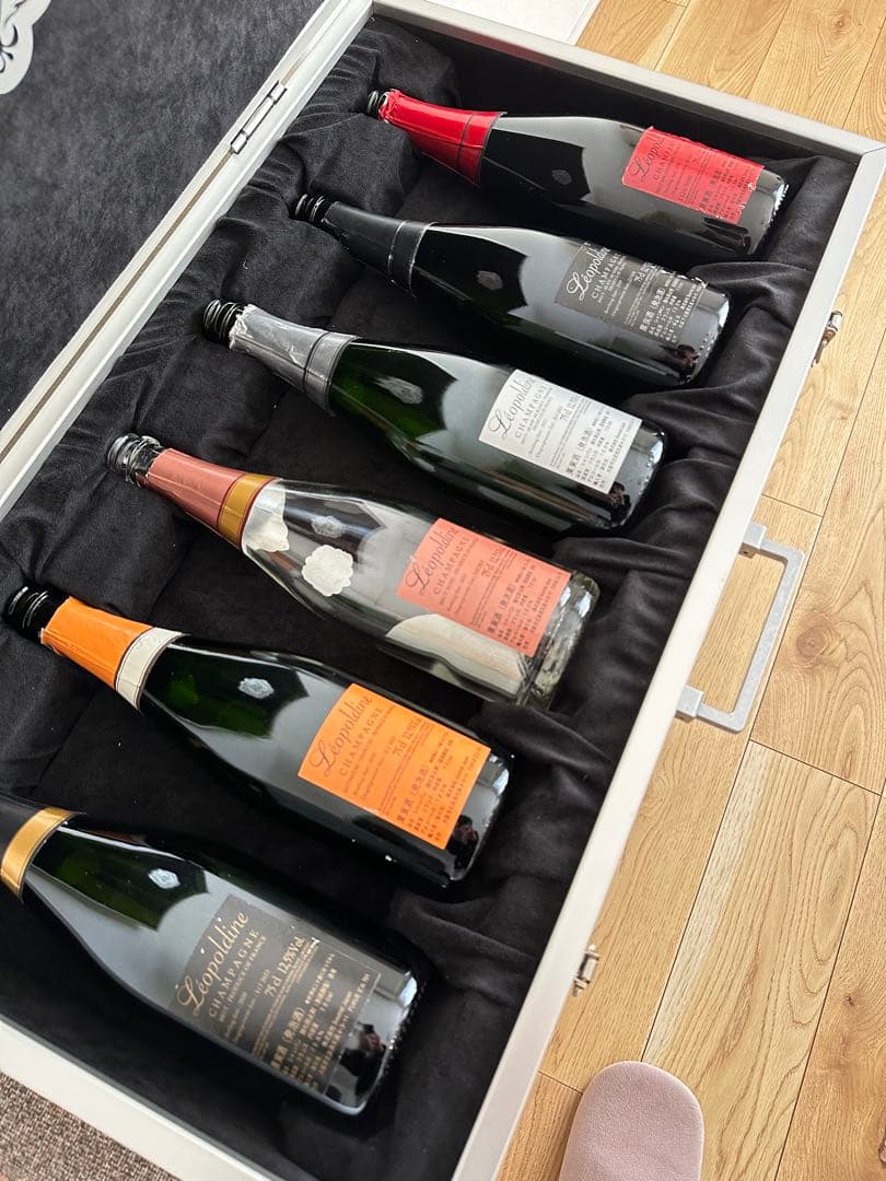 Soulmet アルミケース(空き瓶6本付き)