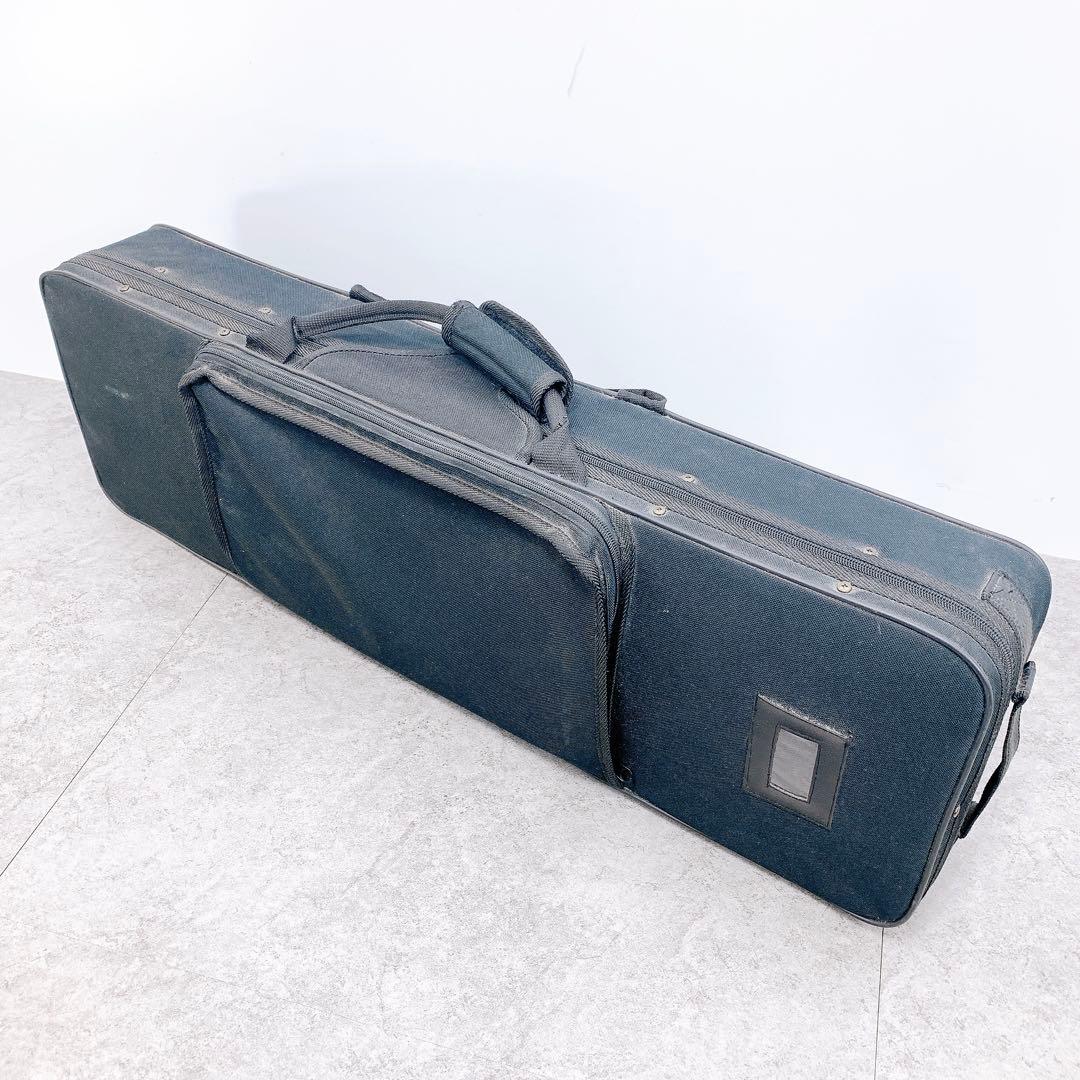 美品 沖縄三線 人工皮 蛇柄 弦楽器 琉球 黒塗り ケース付 初心者 入門モデル