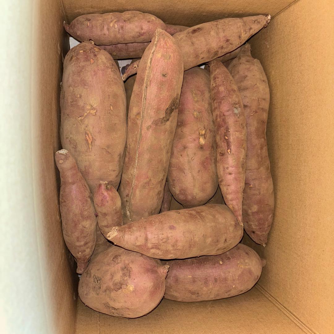 紅はるか10キロ《見本》