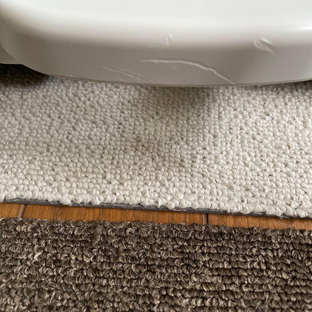 金魚運動マシン　ダイワバイタリティースイング