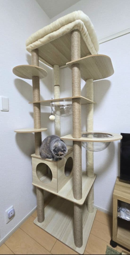 【送料込み】PAWz Road キャットタワー 高さ180cm