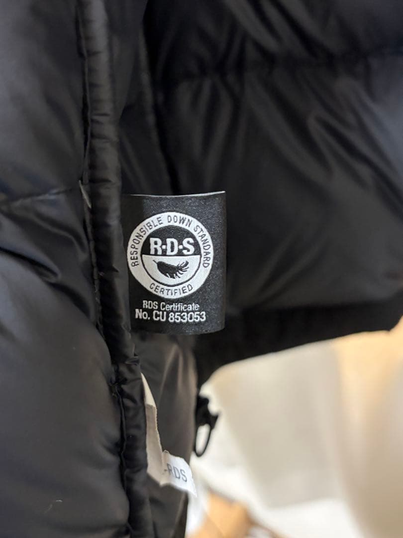 THE NORTH FACE GO EXPLORING DOWN日本未発売