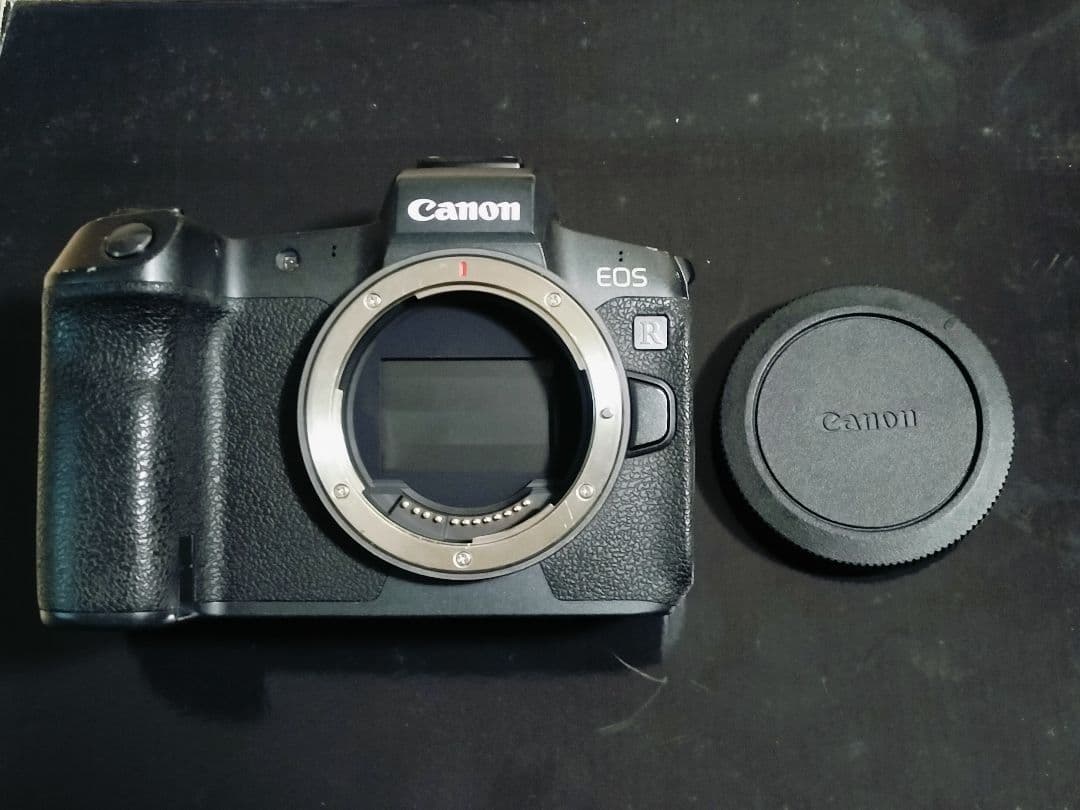 Canon EOS R本体+BG-E22