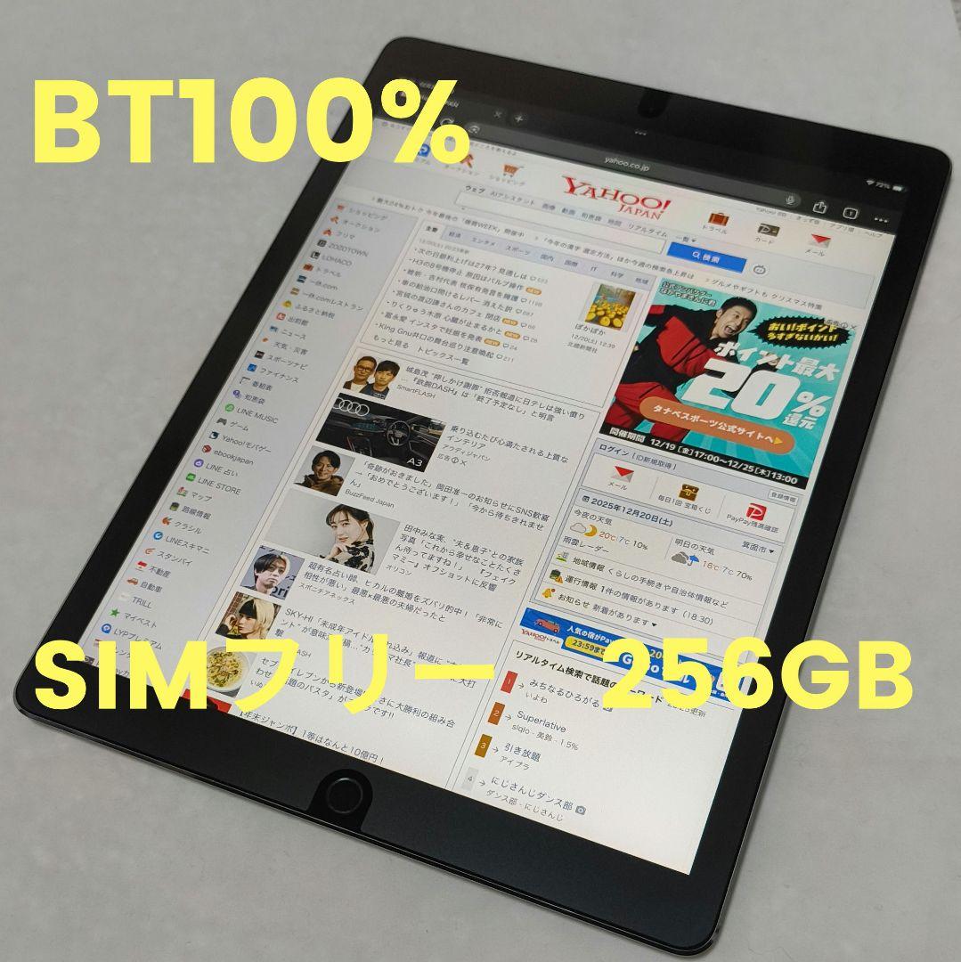 【BT100%】iPad Pro 12.9 第2世代 256GB SIMフリー