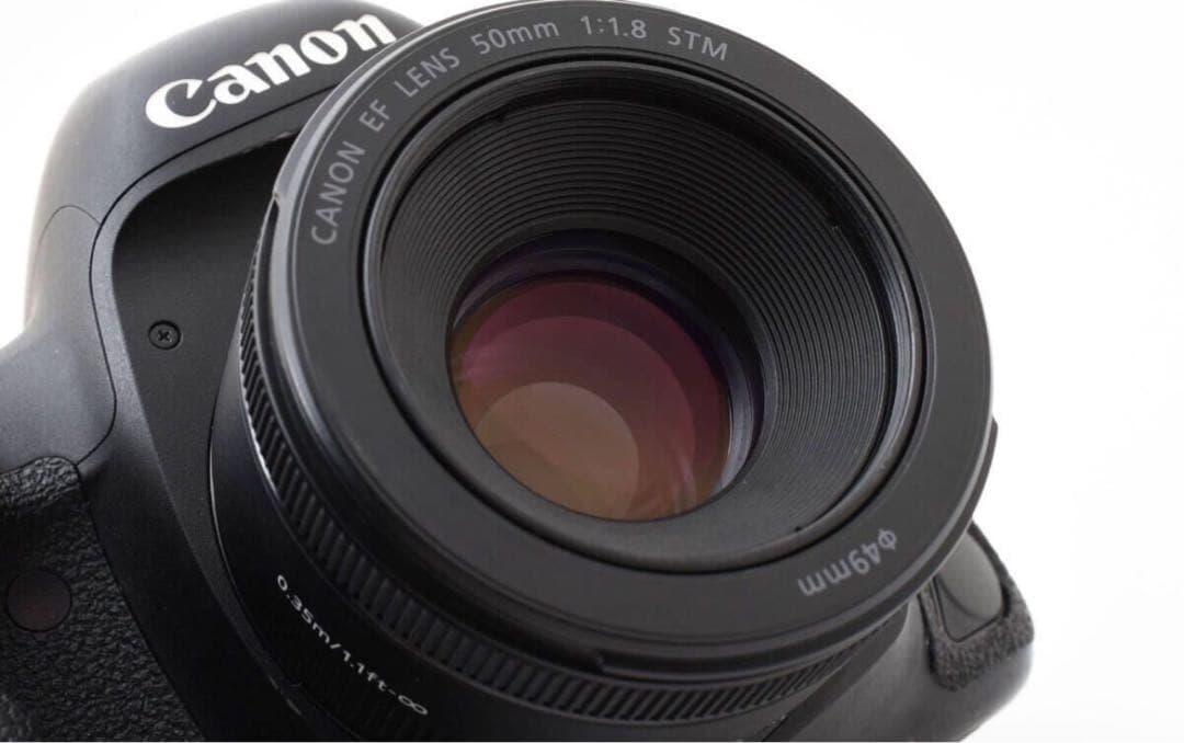 Canon EOS 5D Mark IV/Canon EF50㎜F1.8 STM