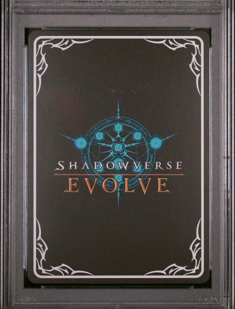 シャドウバースエボルヴ　ナリタブライアンPSA10